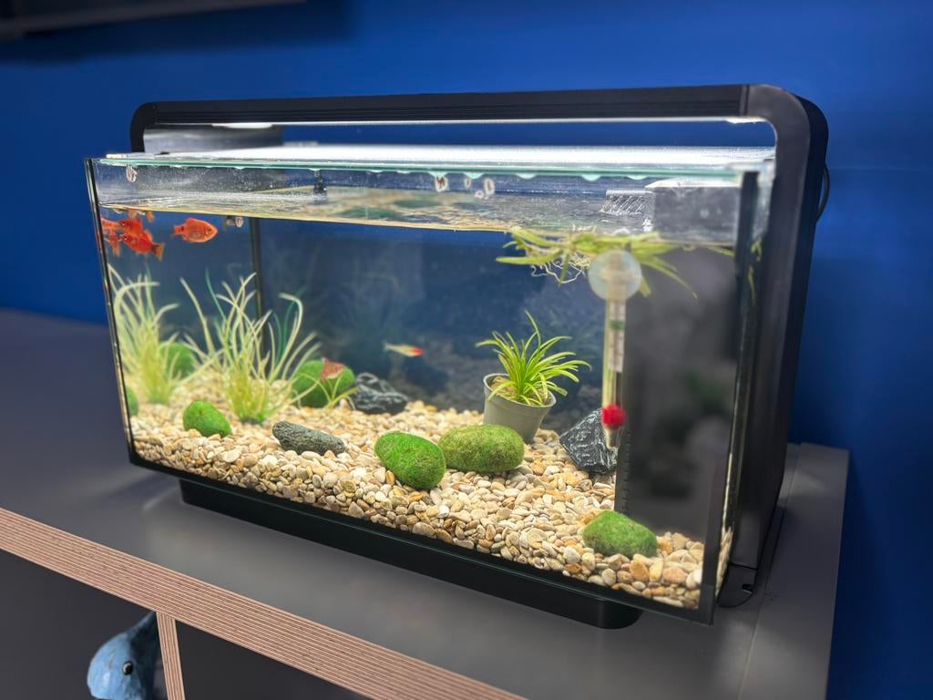 Superfish pro led aquarium inclusief attributen, Ophalen, Zo goed als nieuw, Gevuld zoetwateraquarium