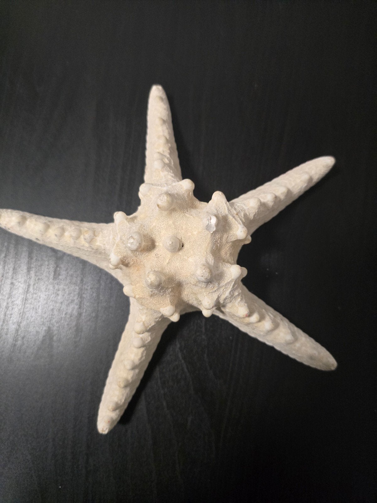 Grote witte zeester decoratie, Ophalen of Verzenden, Zo goed als nieuw