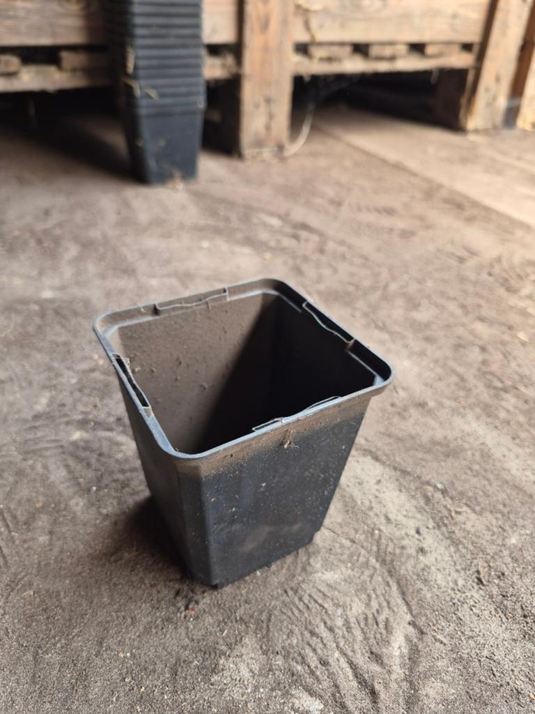 P9 kweekpotjes 9x9x9 cm - per meter, Ophalen of Verzenden