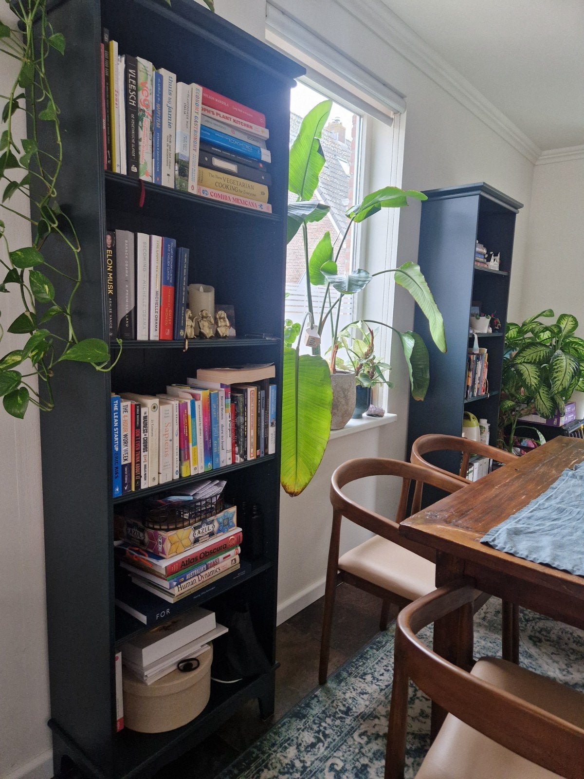 LOMMARP Boekenkast, blauwgroen (x2) 
Boekenkast, donke, Ophalen, 50 tot 100 cm, Zo goed als nieuw, 150 tot 200 cm