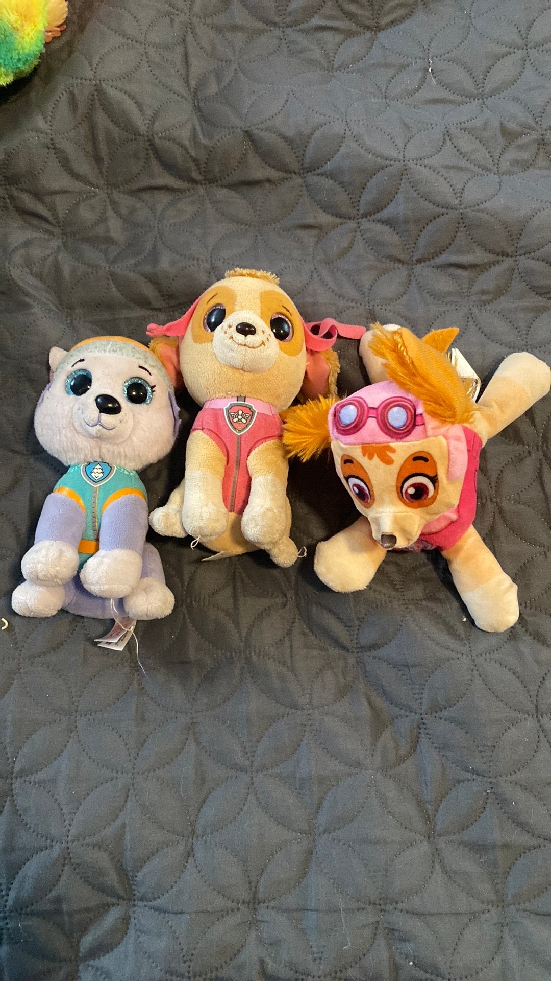 Paw patrol, Ophalen, Gebruikt, Hond