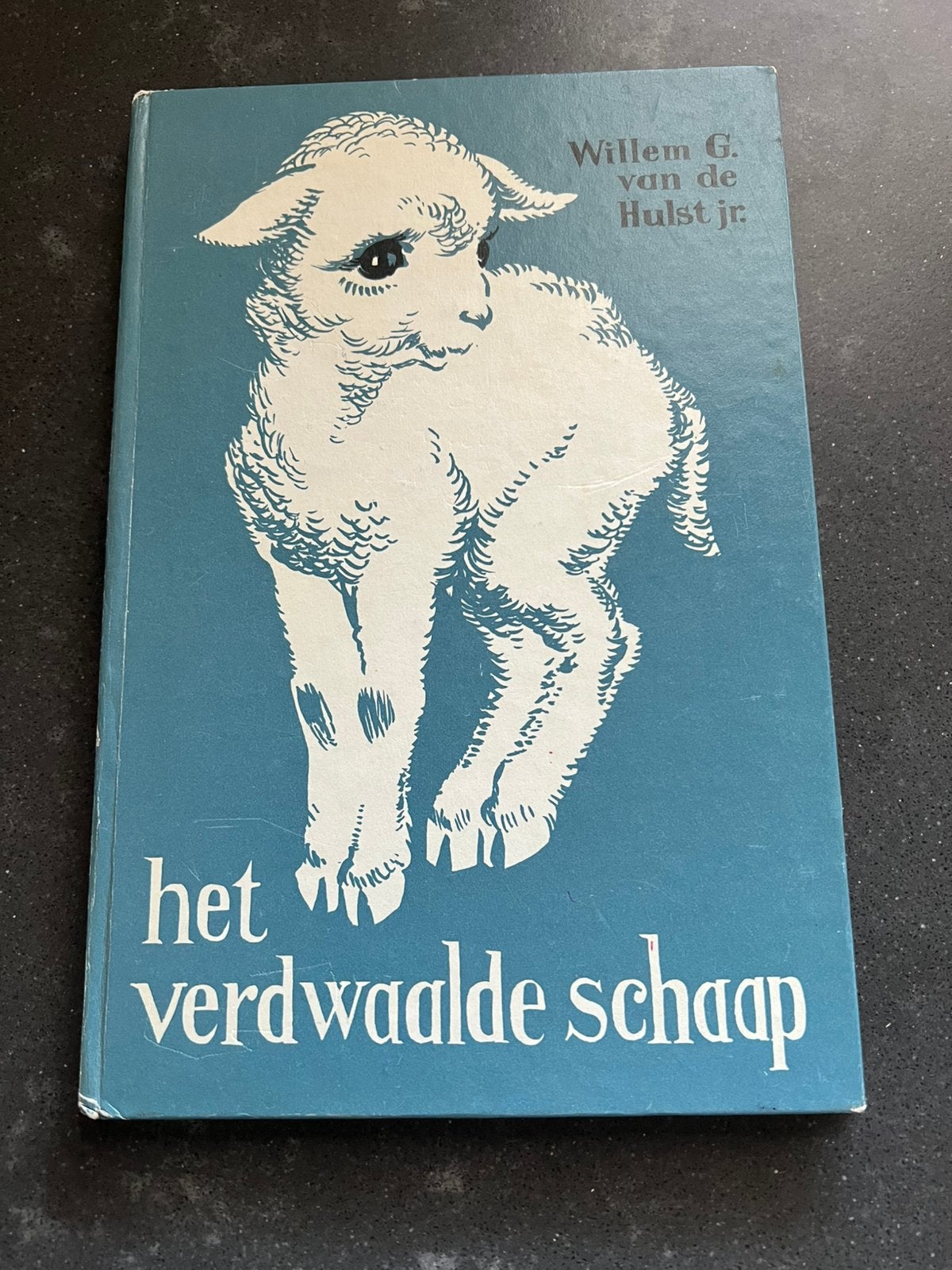 Het verdwaalde schaap door W. G. Van de Hulst, Ophalen of Verzenden