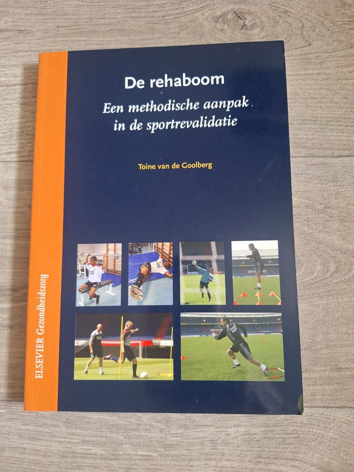 De rehaboom: methodische aanpak sportrevalidatie, Toine van de Goolberg, Zo goed als nieuw, Beta, HBO