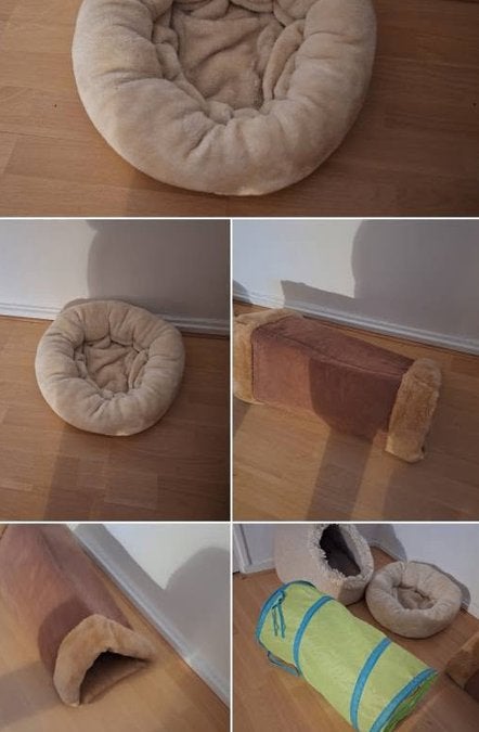 KATTEN ACC. IGLOMAND DONUTMAND KNISPERZAK/TUNNEL, Ophalen