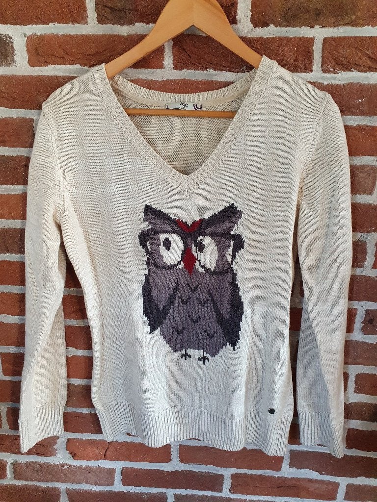 Trui van AJC Fashion. Maat 36/38, Ophalen of Verzenden, Gedragen, Maat 36 (S)