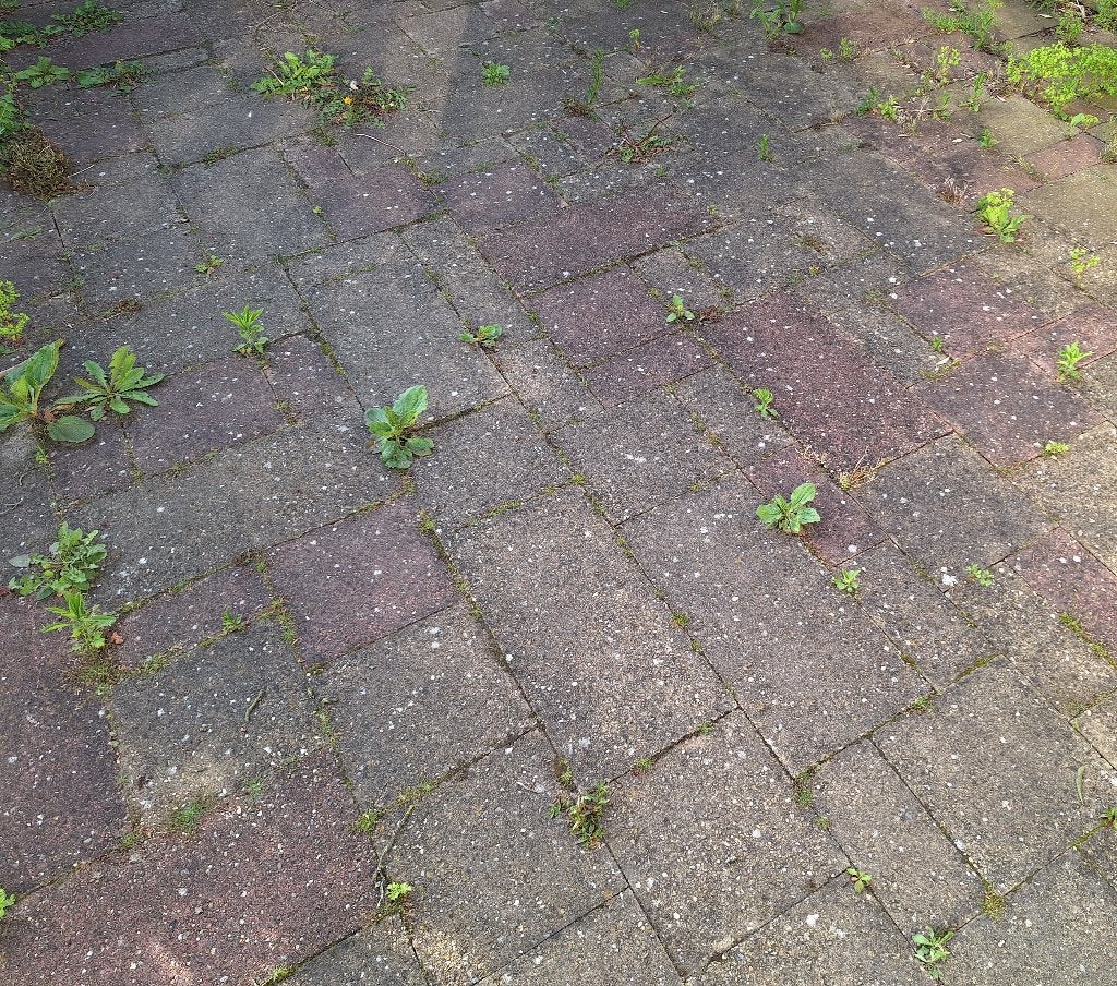 Gratis af te halen; tuin bestrating tegels, Tuin en Terras, Ophalen, Gebruikt, 10 m² of meer, Beton