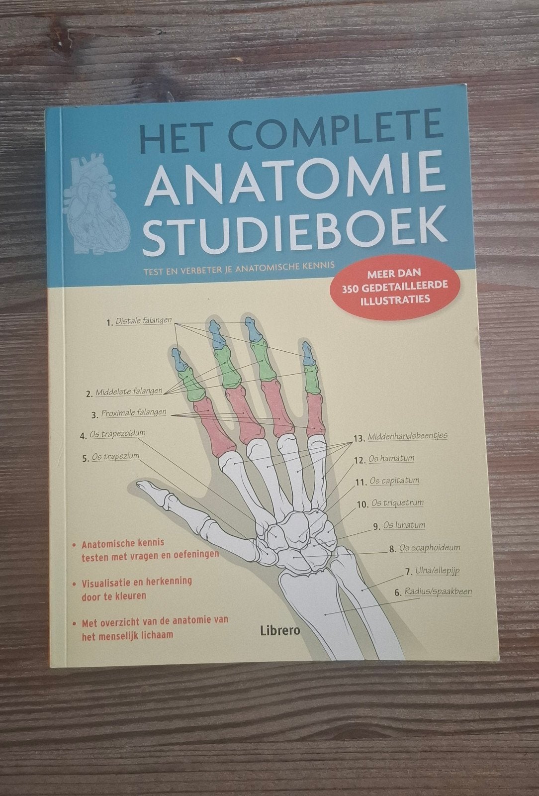 Het Complete Anatomie Studieboek - Libero, Ophalen, HBO, Zo goed als nieuw, Libero