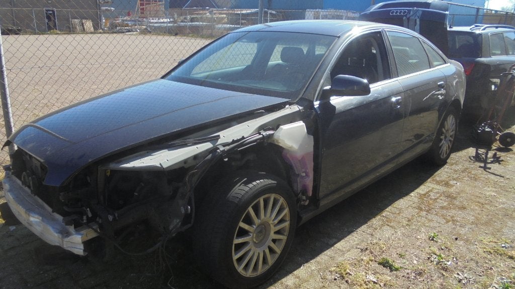 alle carrosserie onderdelen voor Audi A6 model C6, Gebruikt, Voor, Deur, Audi