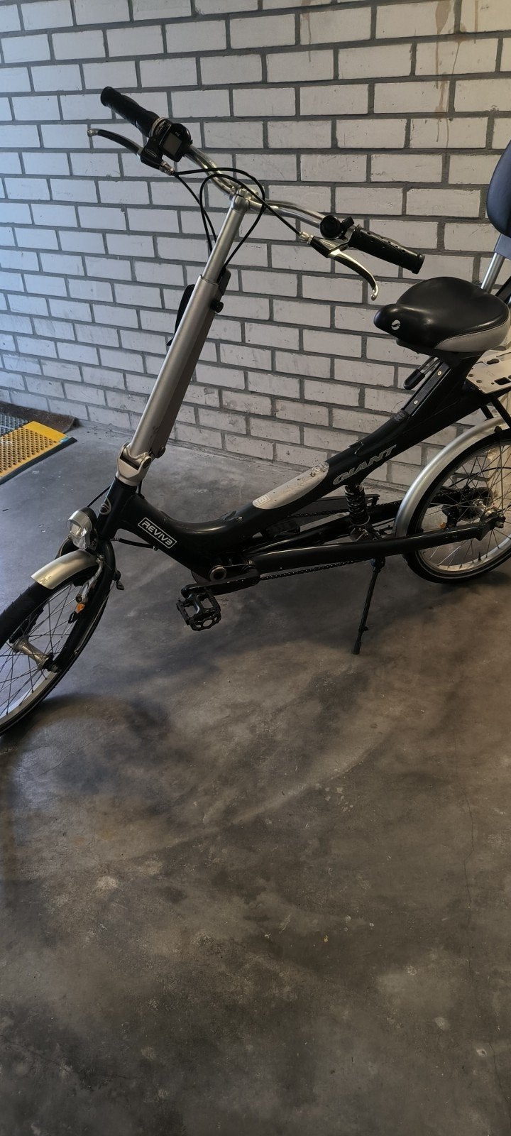 Giant Revive, Fietsen en Brommers, Ophalen, Gebruikt, Overige merken