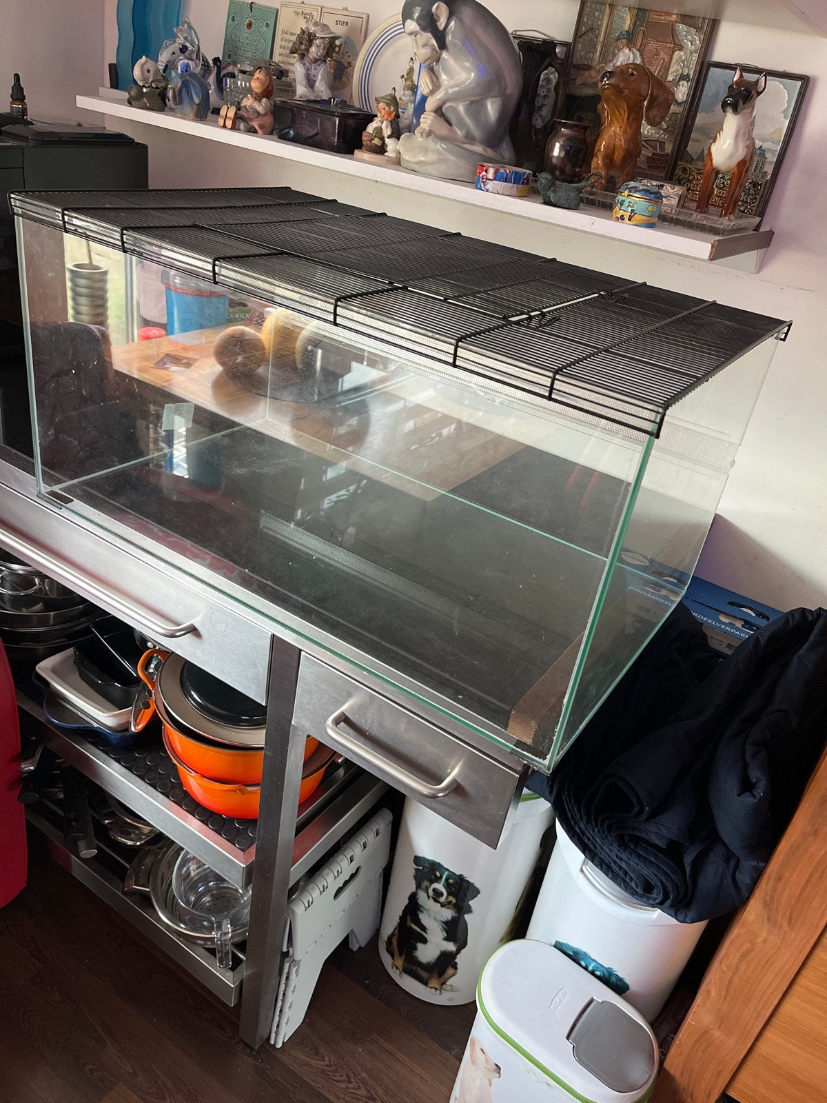 Glazen bak voor diverse doeleinden., Ophalen, Leeg aquarium