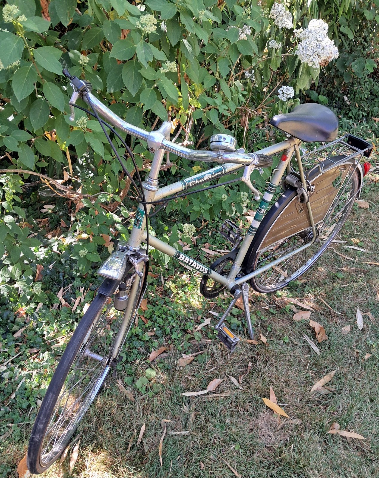 Herenfiets Batavus Champion (opknapper), Ophalen, Batavus Champion