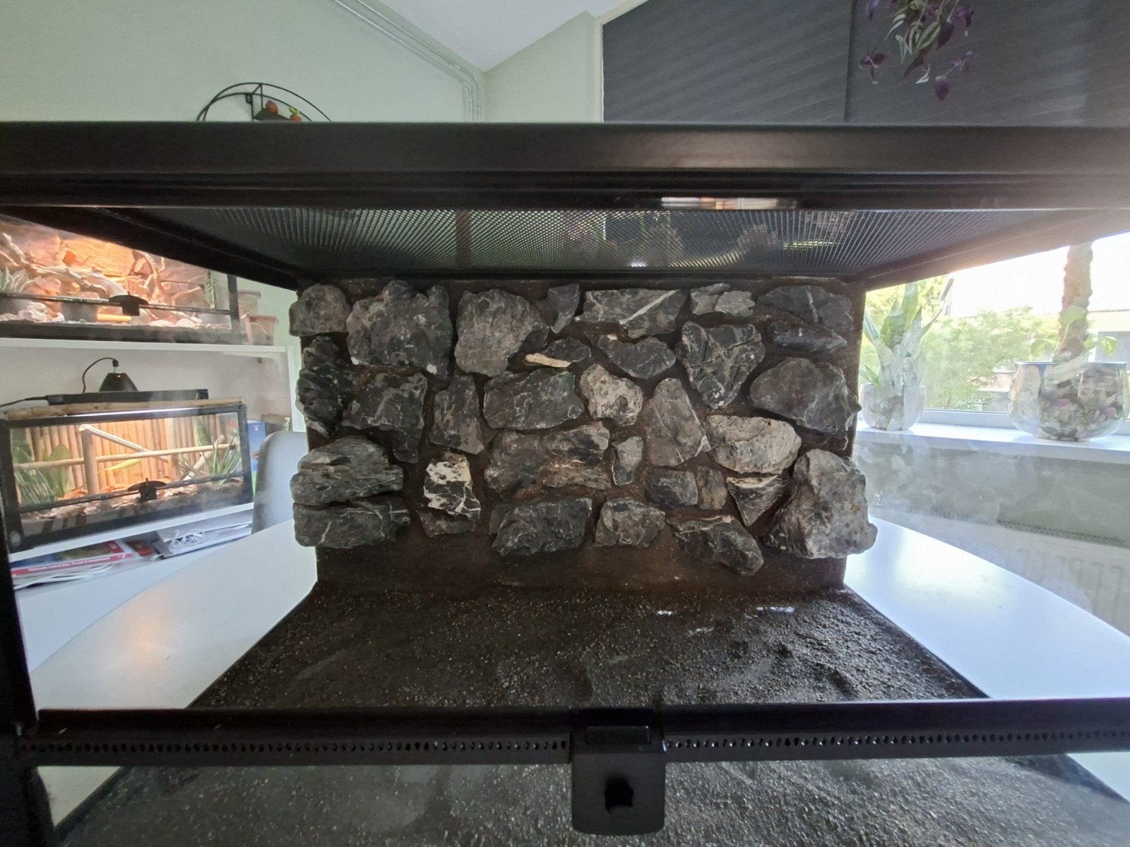 Repto terra earth terrarium met mooie achterwand, Ophalen, Nieuw, Terrarium of Paludarium