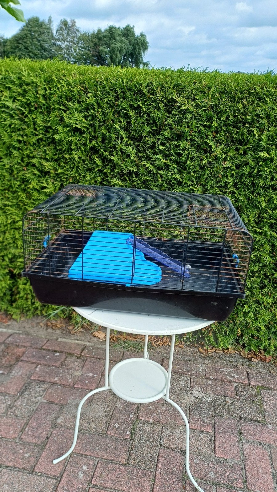 knaagdierenkooi, Dieren en Toebehoren, Knaagdieren en Konijnen | Hokken en Kooien, Kooi, Zo goed als nieuw, 75 tot 110 cm, Ophalen