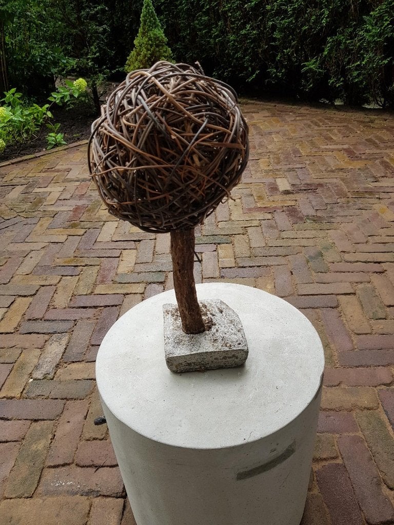 Wilgenbol op stam op betonnen voet, Ophalen, Natuurlijk materiaal, Bruin, Landelijk