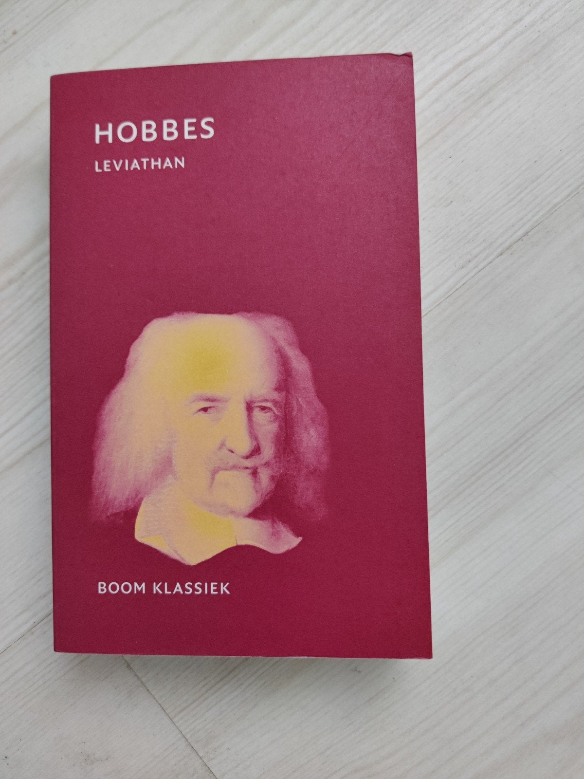 Hobbes - Leviathan (Boom Klassiek) - Filosofie, Boeken, Filosofie, Ophalen of Verzenden