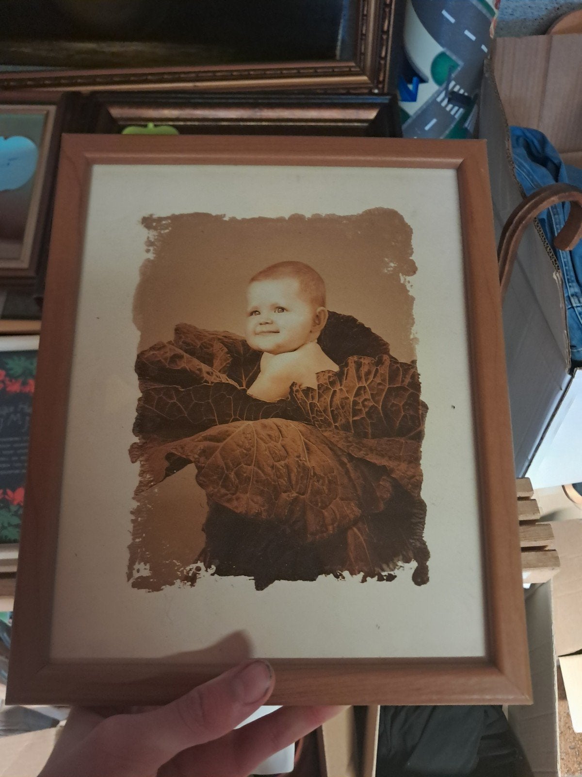 Ingelijste babyfoto's en plantenprint - Set van 5, Antiek en Kunst, Ophalen of Verzenden