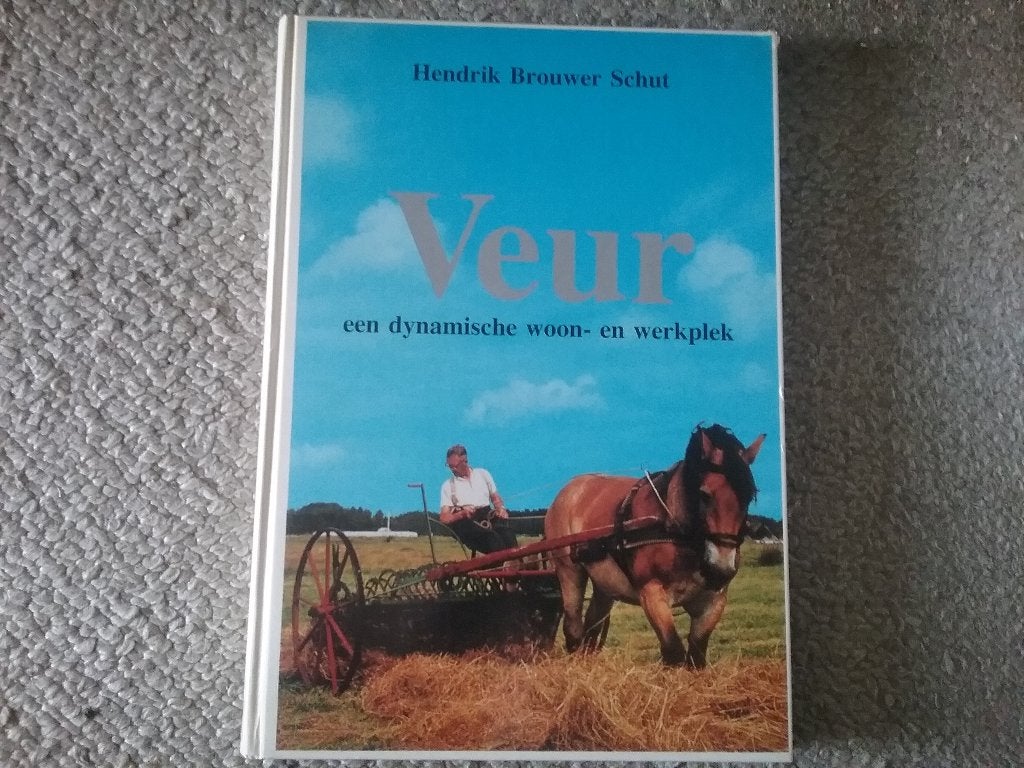 Veur / Hendrik Brouwer Schut (1987; Leidschendam), Ophalen of Verzenden, Zo goed als nieuw