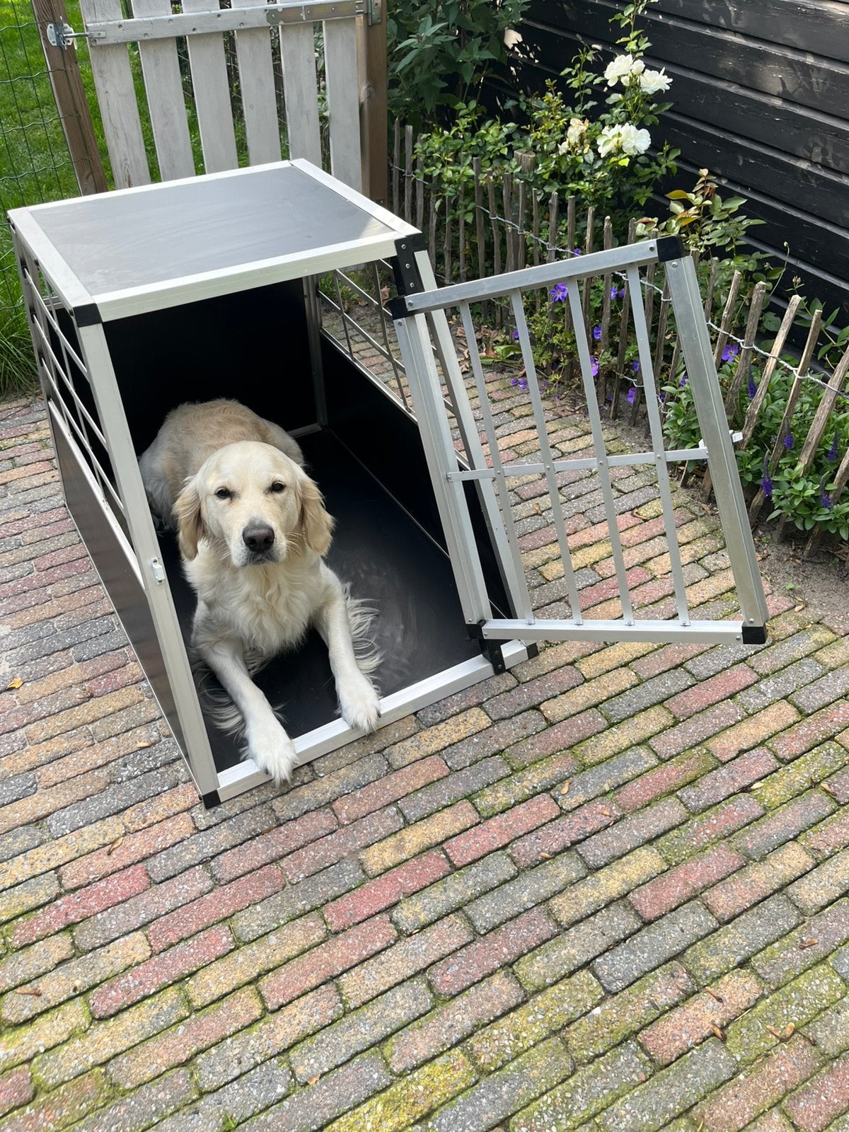 Autobench voor de hond, Ophalen, Hondenkennel, Gebruikt, 65 tot 100 cm