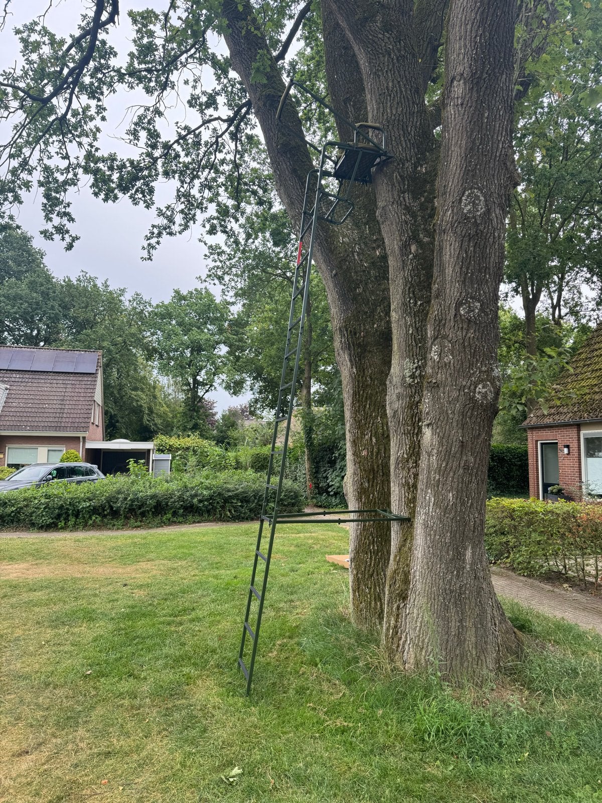 Jachtladder / Boomladder - Ideaal voor jacht of observatie, Gebruikt, Ophalen of Verzenden, Ladder, Opvouwbaar of Inschuifbaar