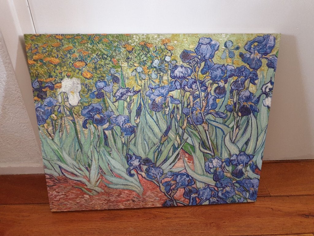 Schilderij - Van Gogh - Irissen, Ophalen of Verzenden