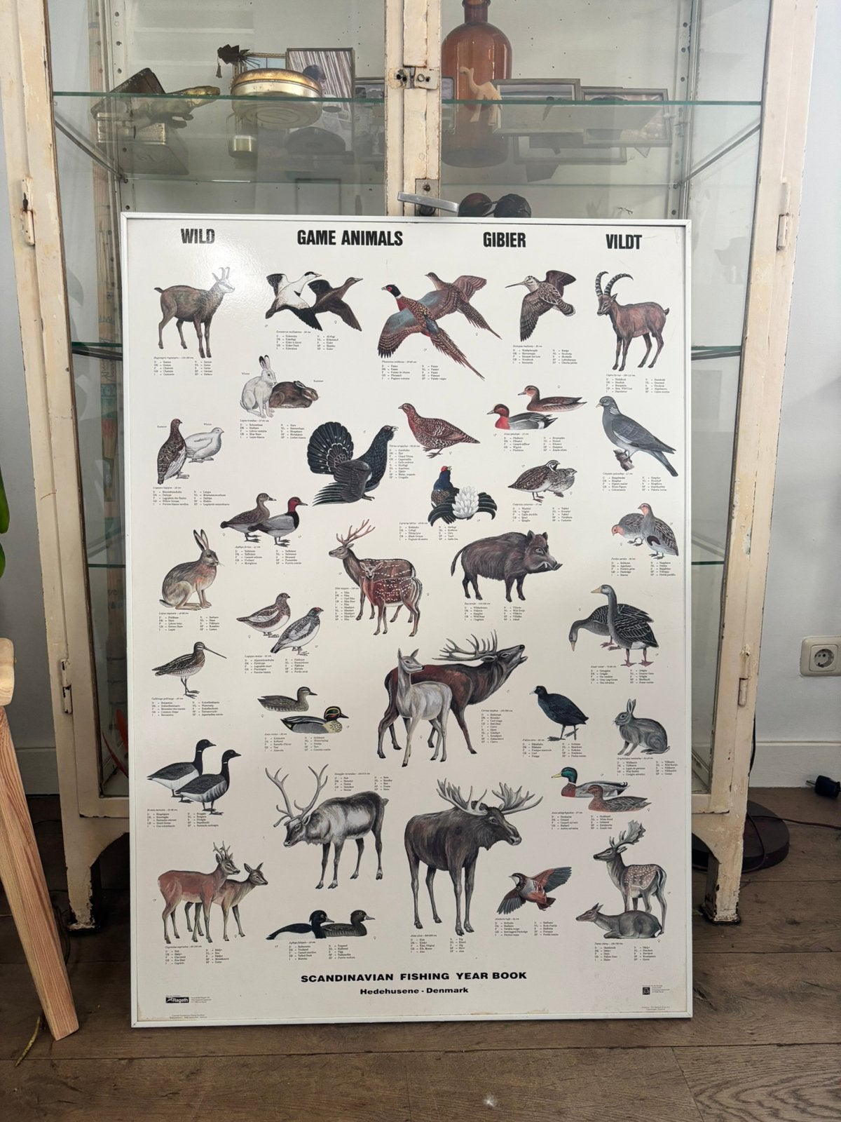 Schoolplaat dieren, Ophalen of Verzenden, Natuur en Biologie