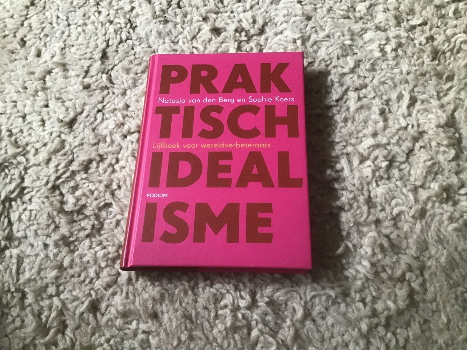 Praktisch Idealisme - Natasja van den Berg & Sophie Koers, Ophalen of Verzenden, Zo goed als nieuw, Nederland