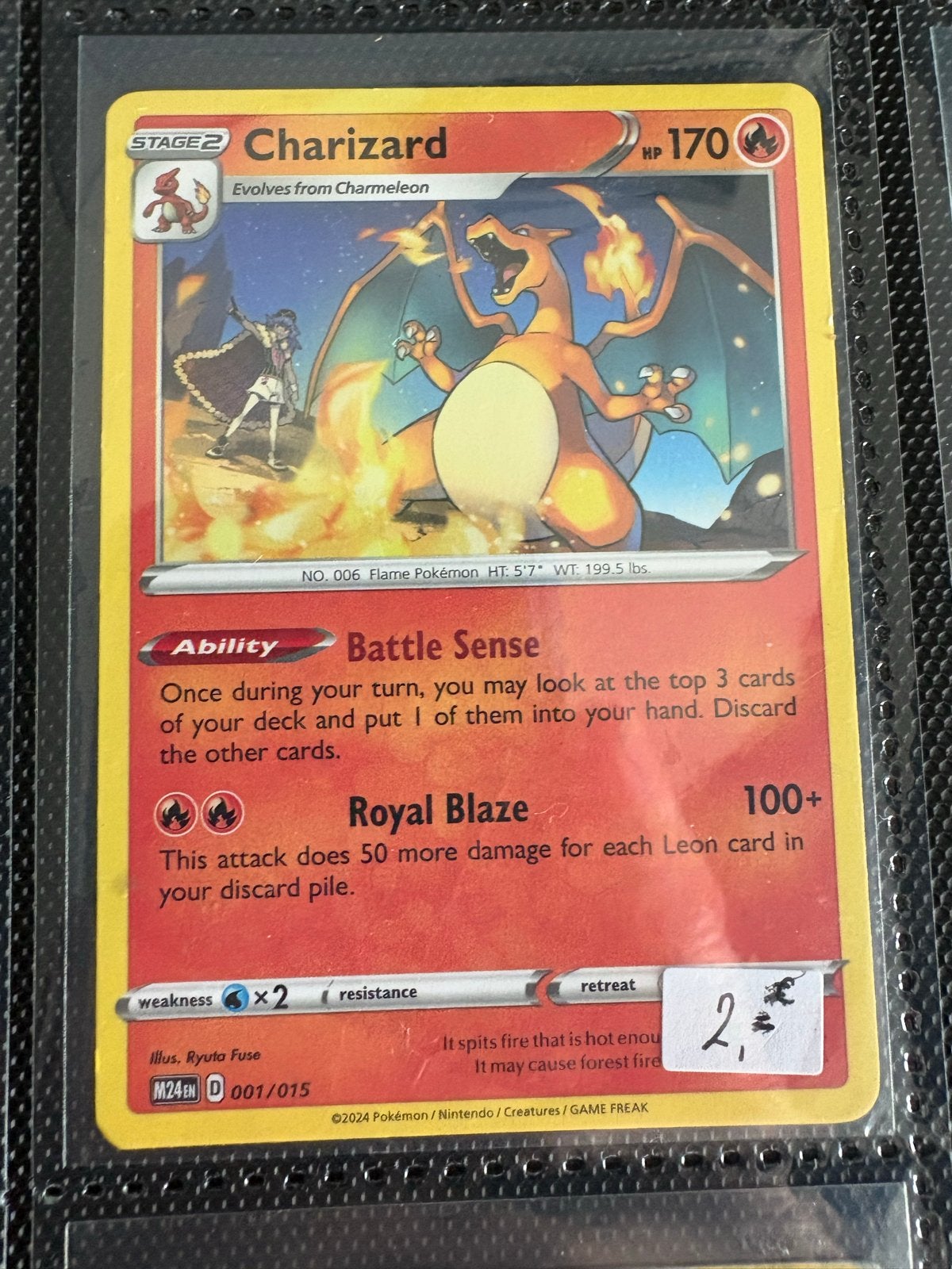 Pokémon Kaarten Collectie - Charizard, Charmander, Squirtle, Ophalen of Verzenden, Gebruikt, Meerdere kaarten