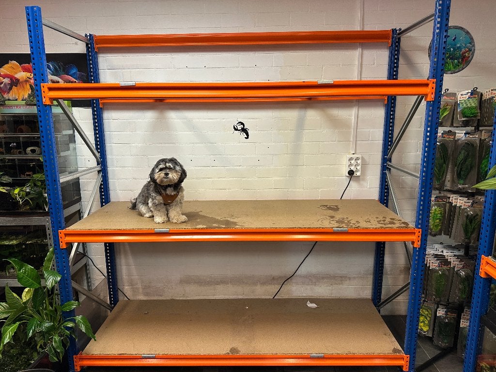Professionele magazijnstelling 2 mtr breed 60 diep en 250 h, Ophalen, ., Aquariummeubel, Overige merken