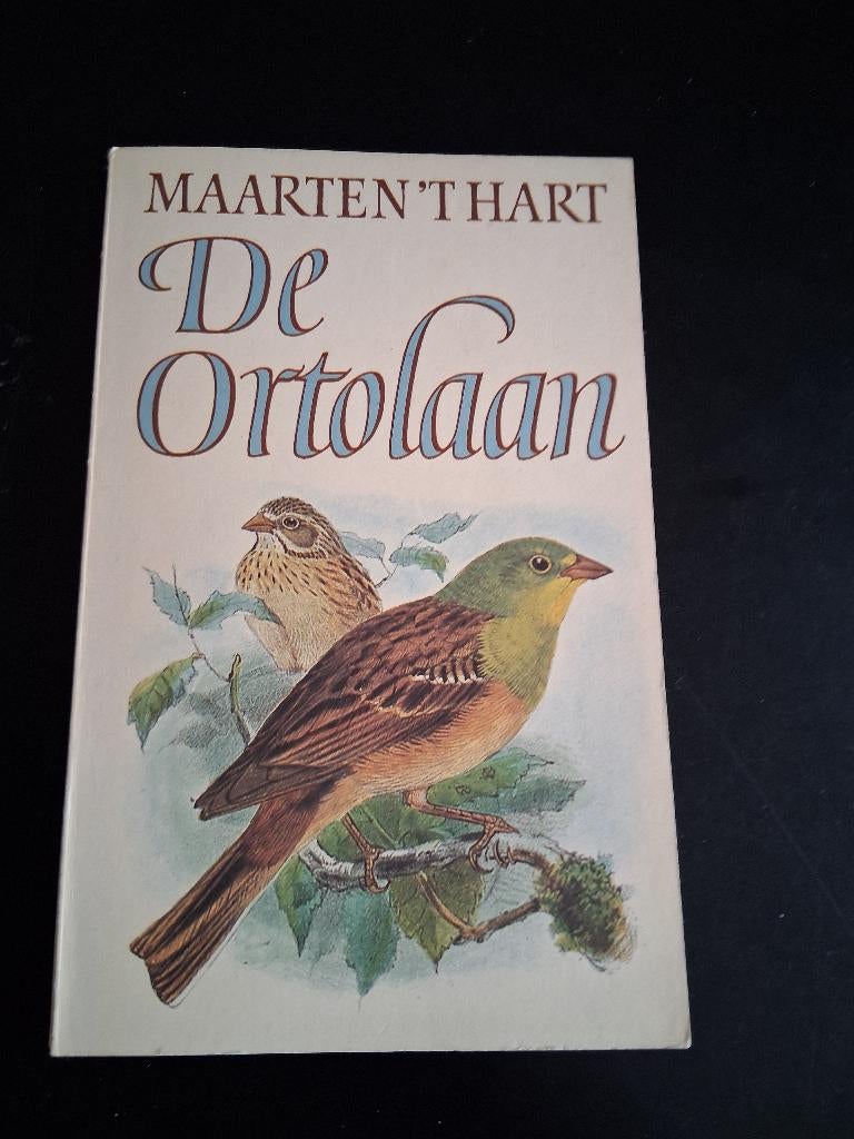 De Ortolaan - Maarten 't Hart boekenweekgeschenk 1984, Gelezen, Ophalen of Verzenden, Nederland, Maarten 't Hart