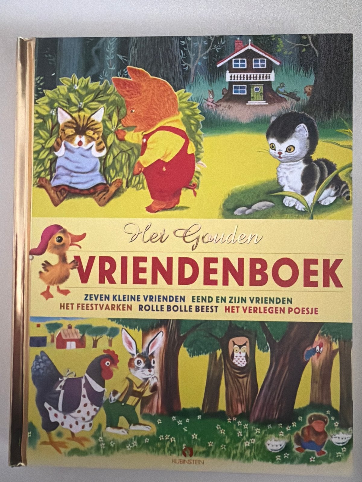 Het Gouden Vriendenboek - Prachtige verhalen voor kinderen, 5 of 6 jaar, Jongen of Meisje, Zo goed als nieuw, Sprookjes
