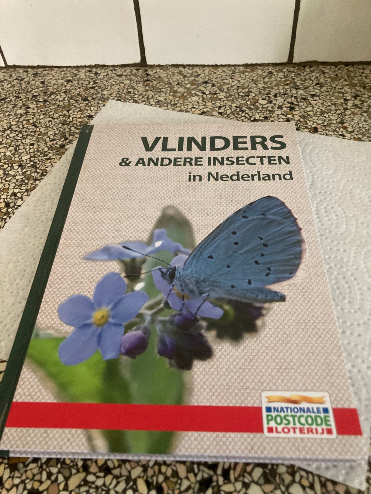 Boek vlinders, Ophalen of Verzenden, Zo goed als nieuw, Natuur algemeen