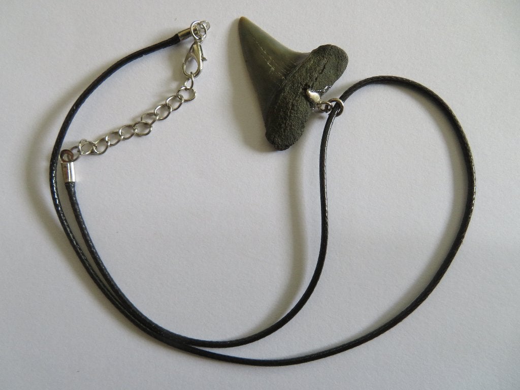 Ketting met echte haaientand,23-2.5 milj.jaar,slechts € 6,00, Ophalen of Verzenden, Fossiel