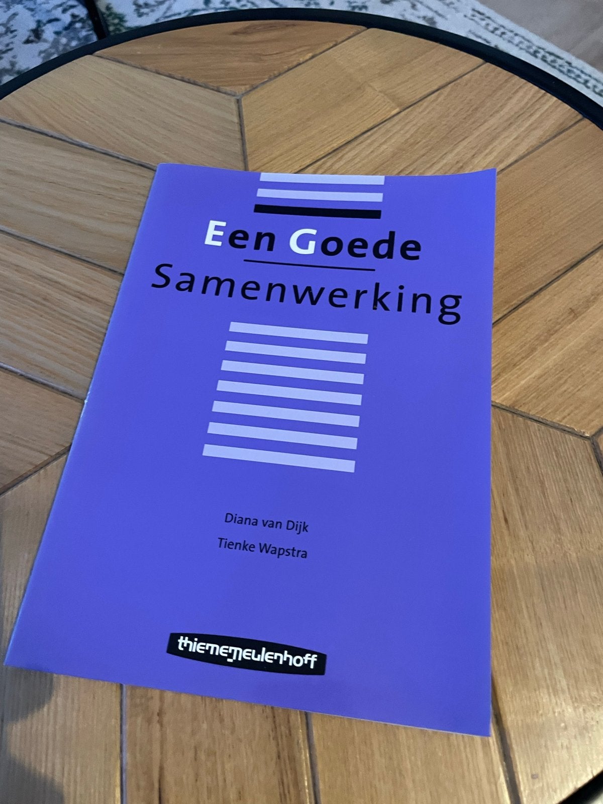 Een Goede Samenwerking - Diana van Dijk & Tienke Wapstra, Boeken, Ophalen of Verzenden, Gamma, Zo goed als nieuw, Niet van toepassing