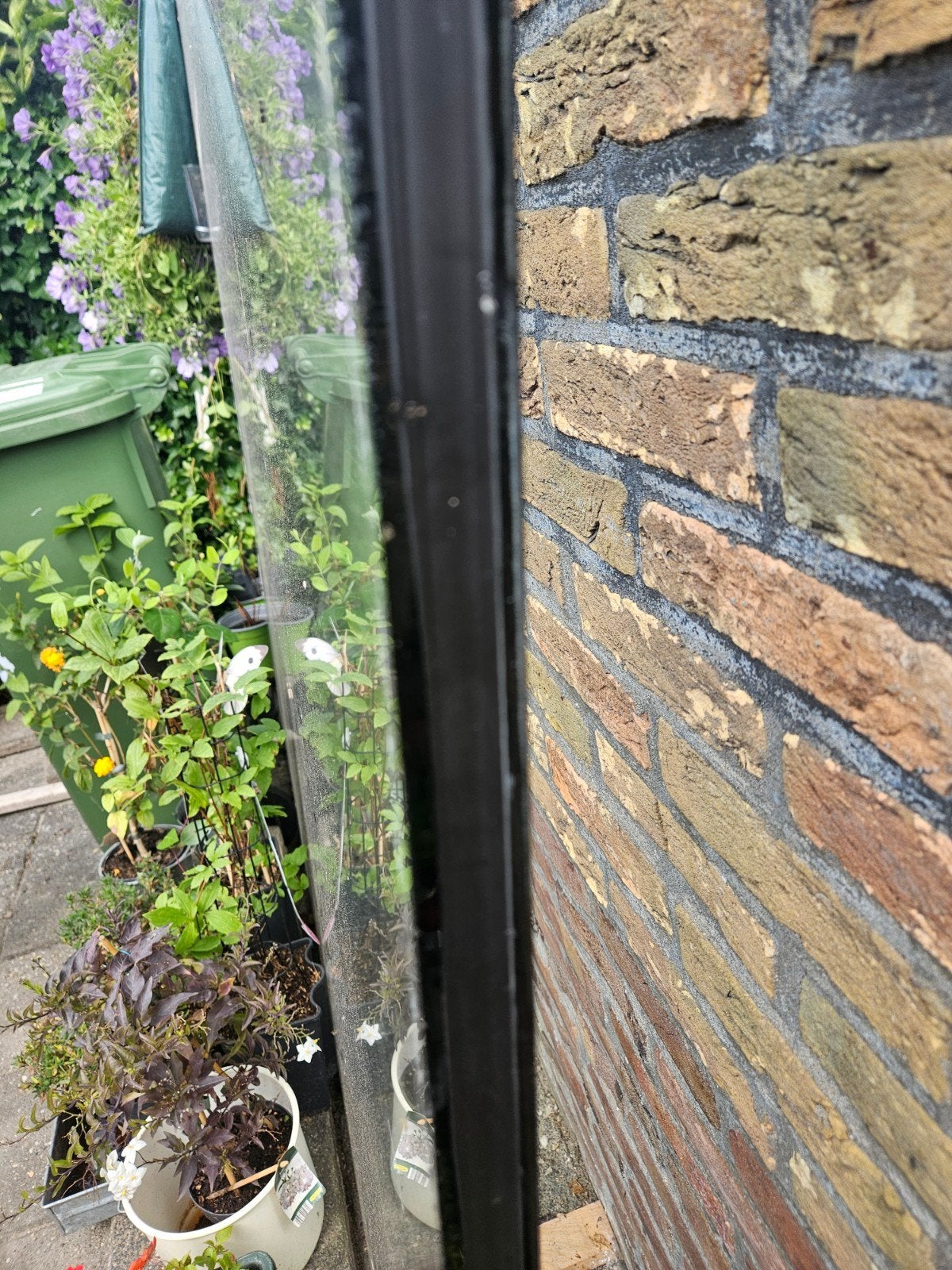 Grote glasplaat, ideaal voor kas, afdak of windscherm, Ophalen, Gebruikt, 160 cm of meer, Glasplaat