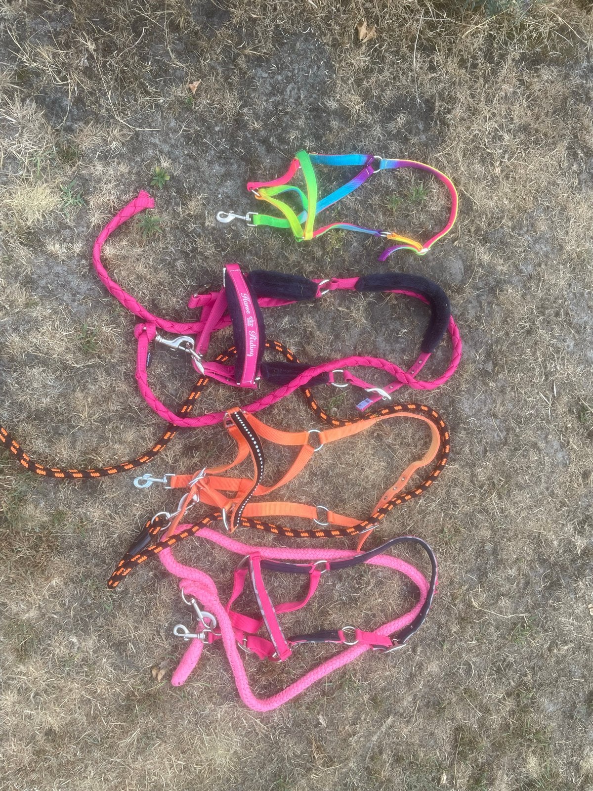 Halsters, Dieren en Toebehoren, Ophalen, Gebruikt