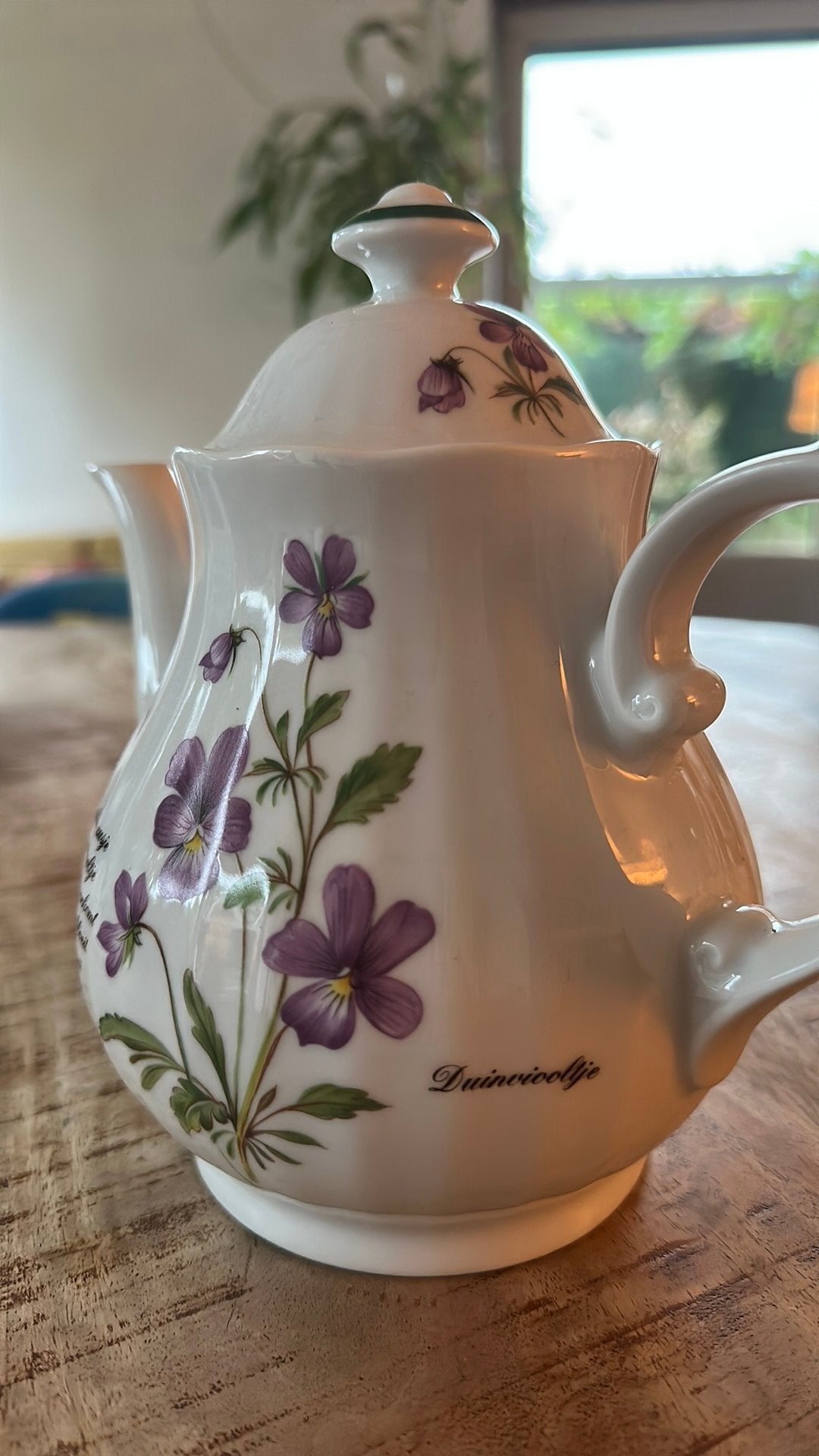 Duinvioolte theepit libelle, Ophalen of Verzenden