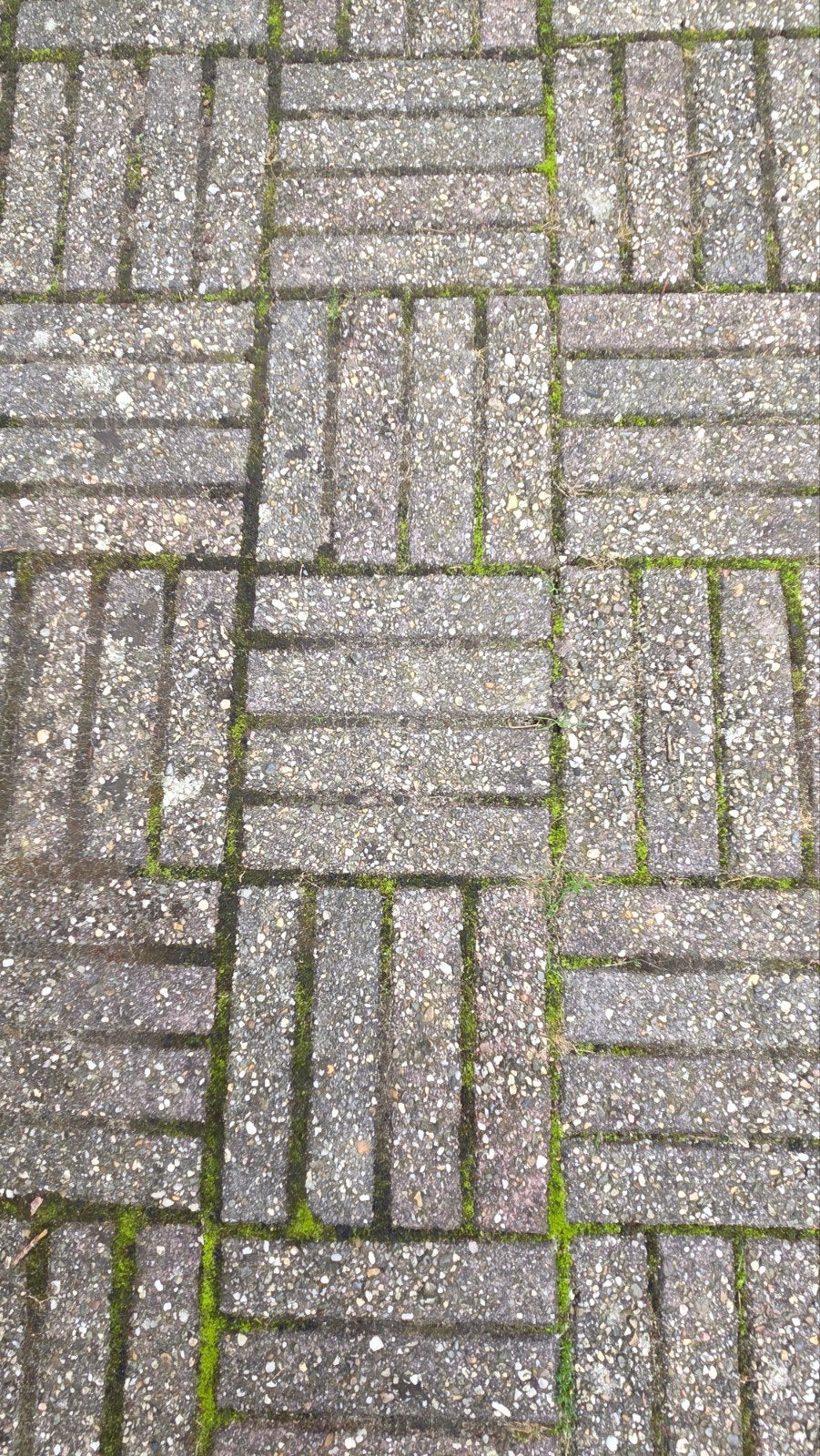 Klinkers ca. 35 m2 gratis 20x4cm, Tuin en Terras, Ophalen, Gebruikt, Klinkers, 10 m² of meer