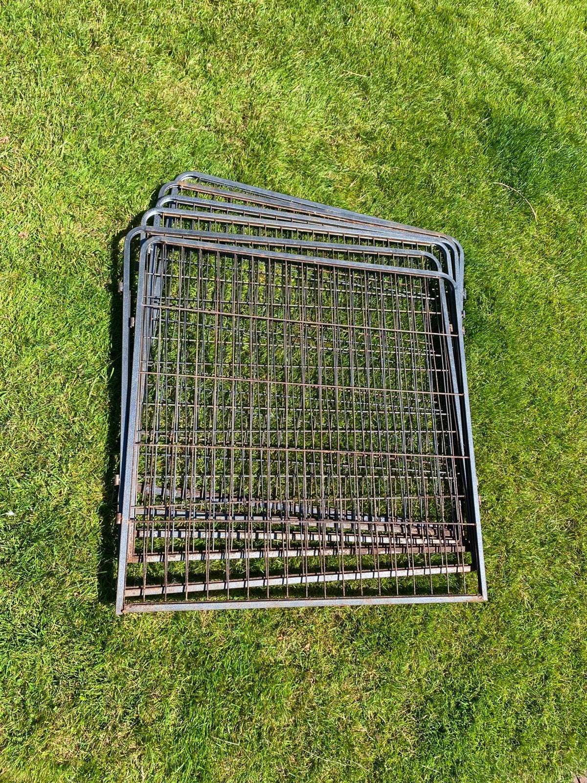 Puppyren met 6 kennelpanelen - Staal 80 x 80 cm, Dieren en Toebehoren, Hondenhokken, Ophalen, 65 tot 100 cm, Hondenhok, 110 cm of meer