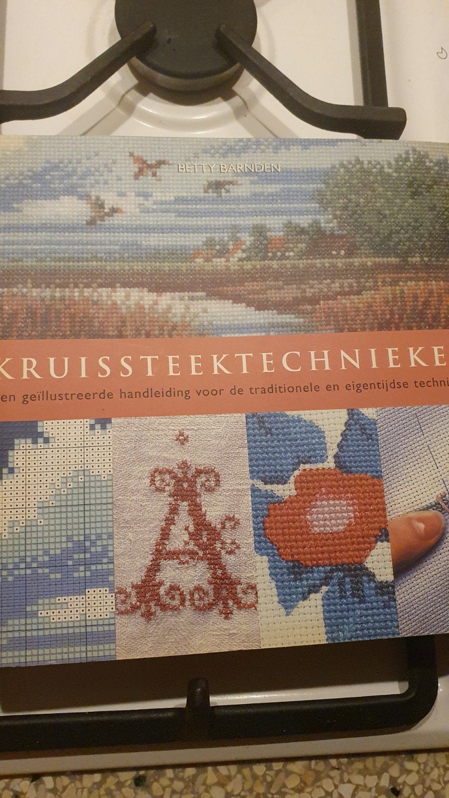 Kruissteek technieken, 3de gratis, Boeken, Hobby en Vrije tijd, Ophalen of Verzenden, Zo goed als nieuw, Borduren en Naaien