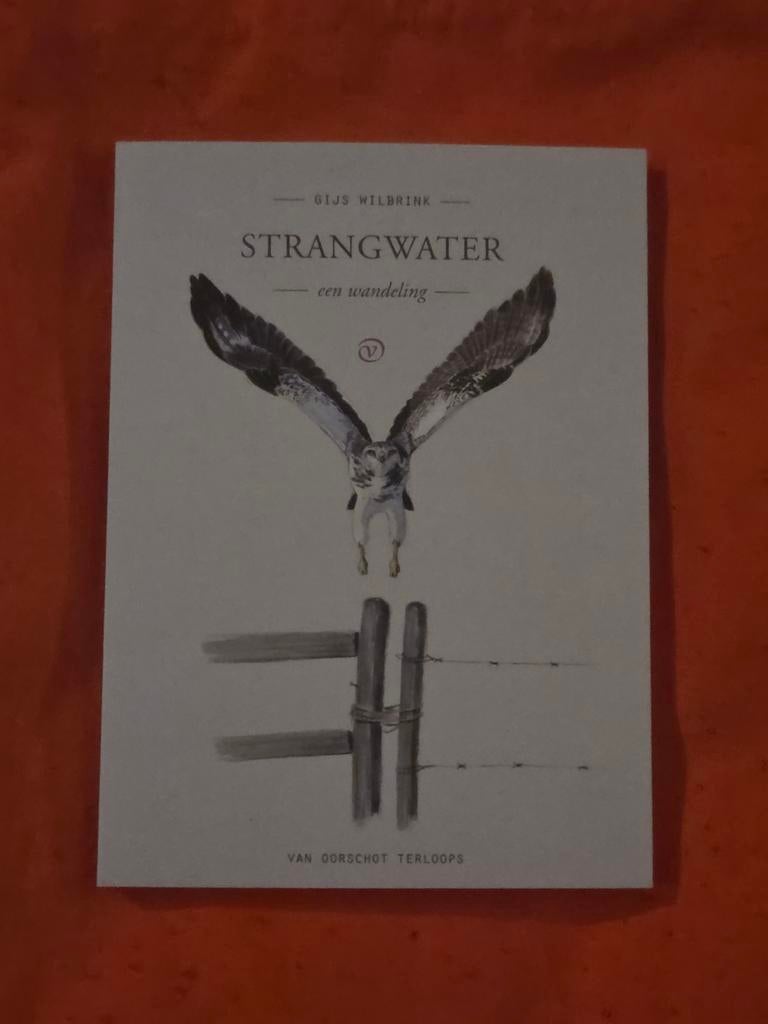 Gijs Wilbrink - Strangwater, nieuw, Boeken, Ophalen of Verzenden, Nieuw, Gijs Wilbrink, Europa