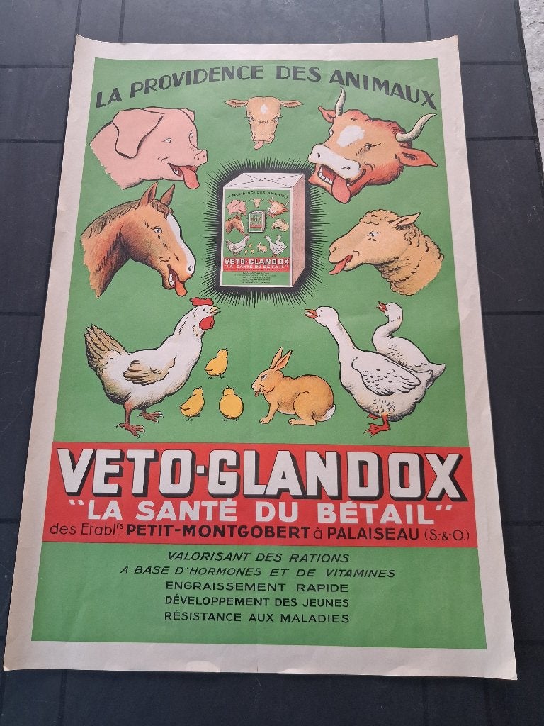 oude affiche VETO GLANDOX...60cm x 40cm, Verzamelen, Ophalen of Verzenden, Zo goed als nieuw, Reclamebord
