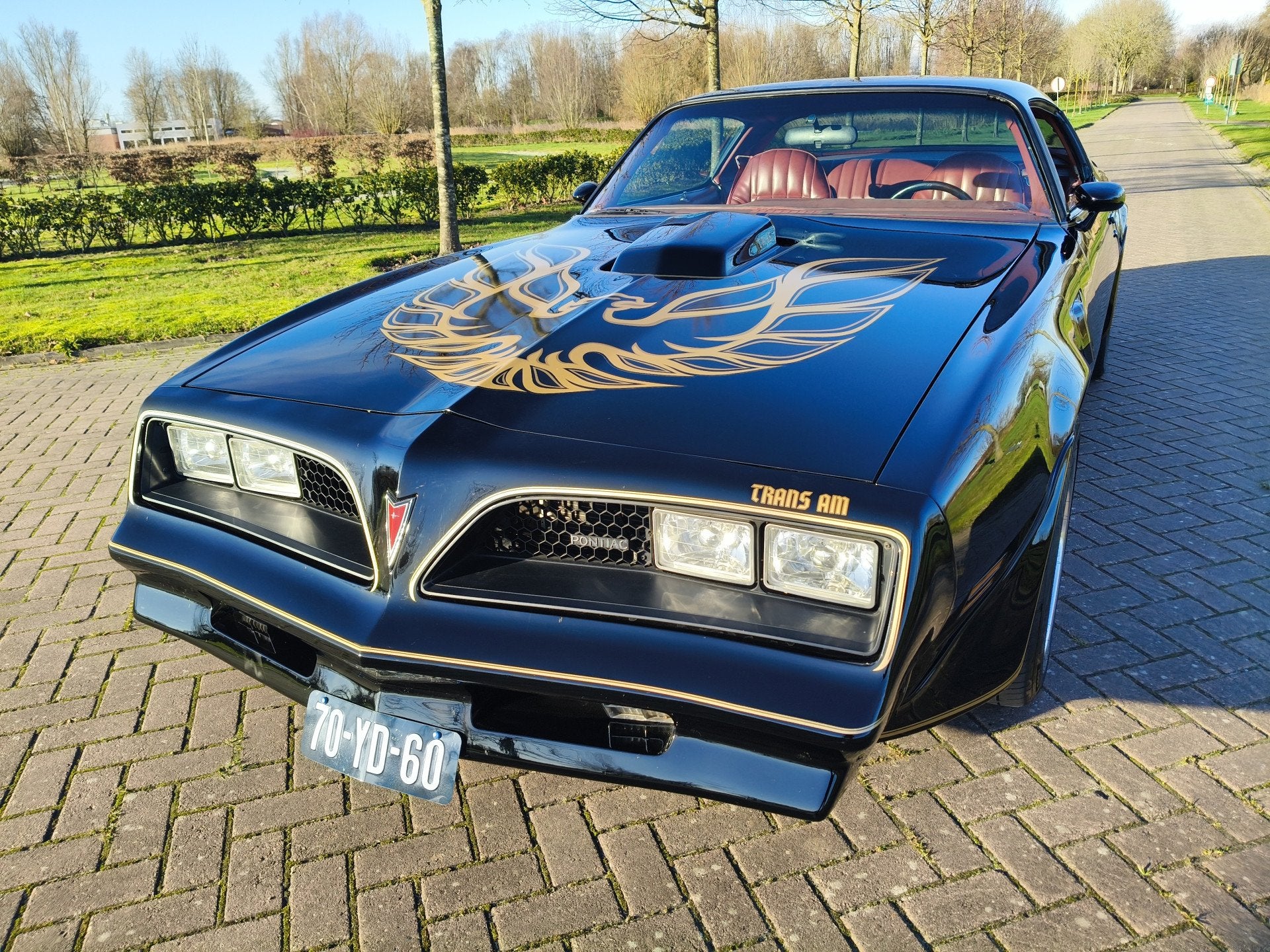 Pontiac Firebird TRANS AM (bj 1977, automaat), foto 4