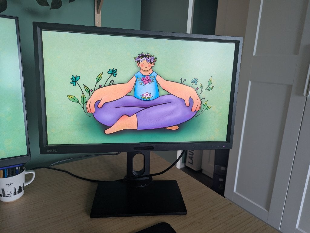 BenQ BL2420PT Designer Monitor 24" WQHD 1440p AQCOLOR – €60, Ophalen, BENQ, IPS, Zo goed als nieuw
