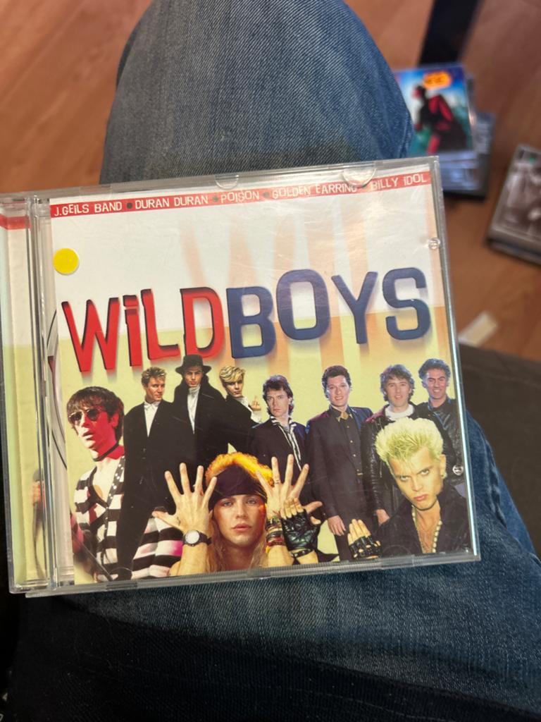 Wildboys CD - Diverse artiesten, jaren '80 hits, Ophalen of Verzenden, Zo goed als nieuw, Pop