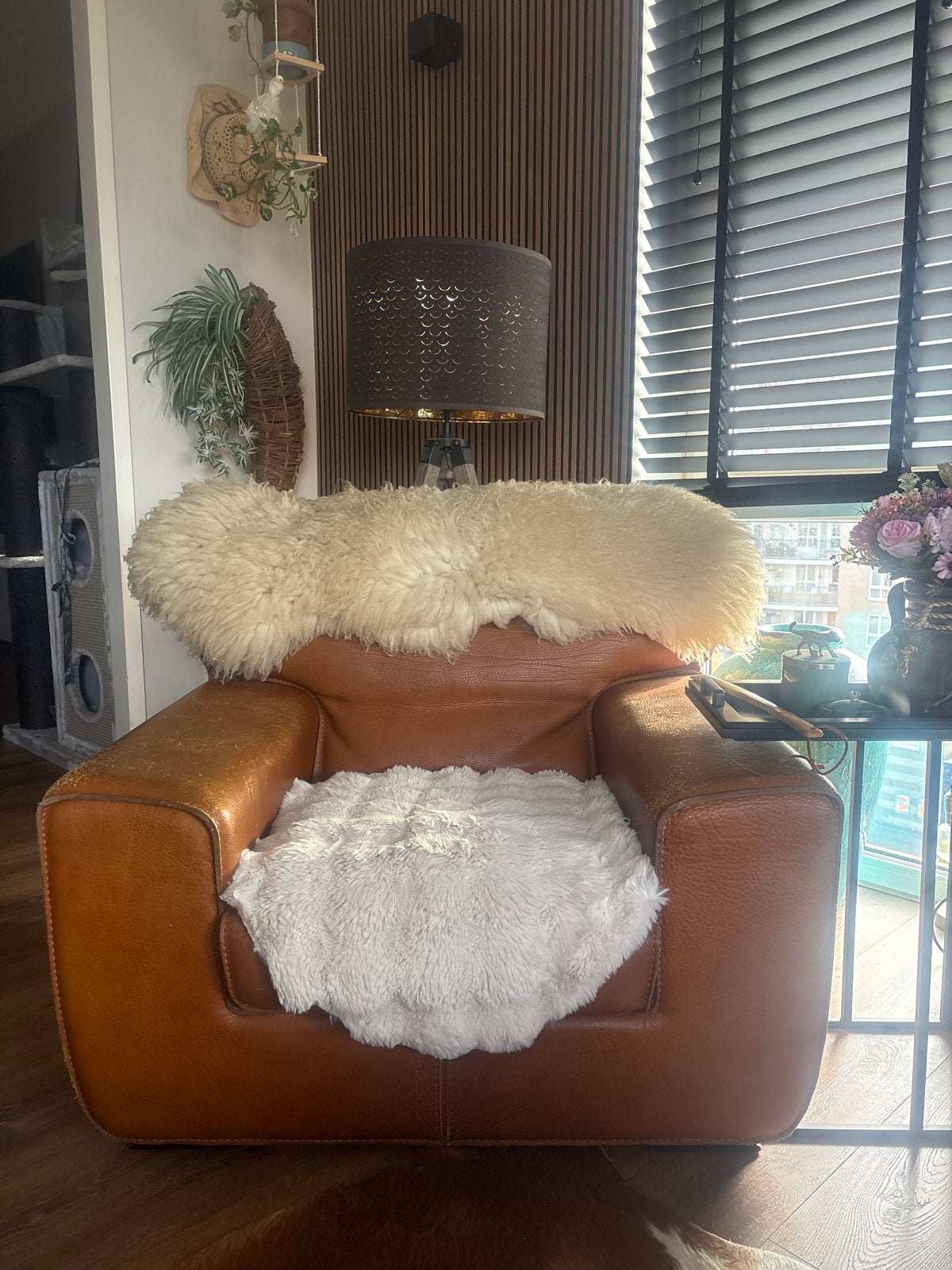 Comfortabele leren fauteuil - Gebruikt, Ophalen, Gebruikt, Leer, 75 tot 100 cm
