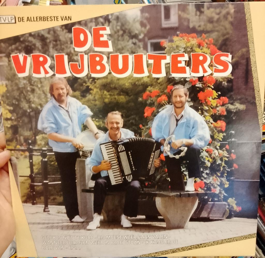 De Vrijbuiters - De Allerbeste, Verzenden, Gebruikt, 12 inch, Levenslied of Smartlap