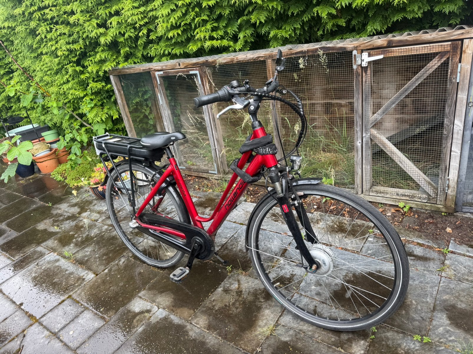 Hollandia fronta, Overige merken, Gebruikt, Ophalen of Verzenden, 51 tot 55 cm