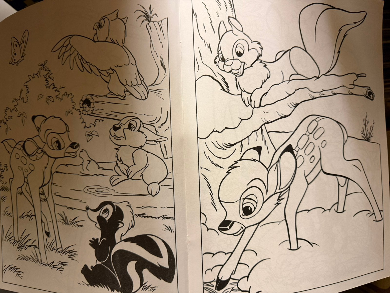 Disney kleurboek, Ophalen of Verzenden, Nieuw, Overige typen
