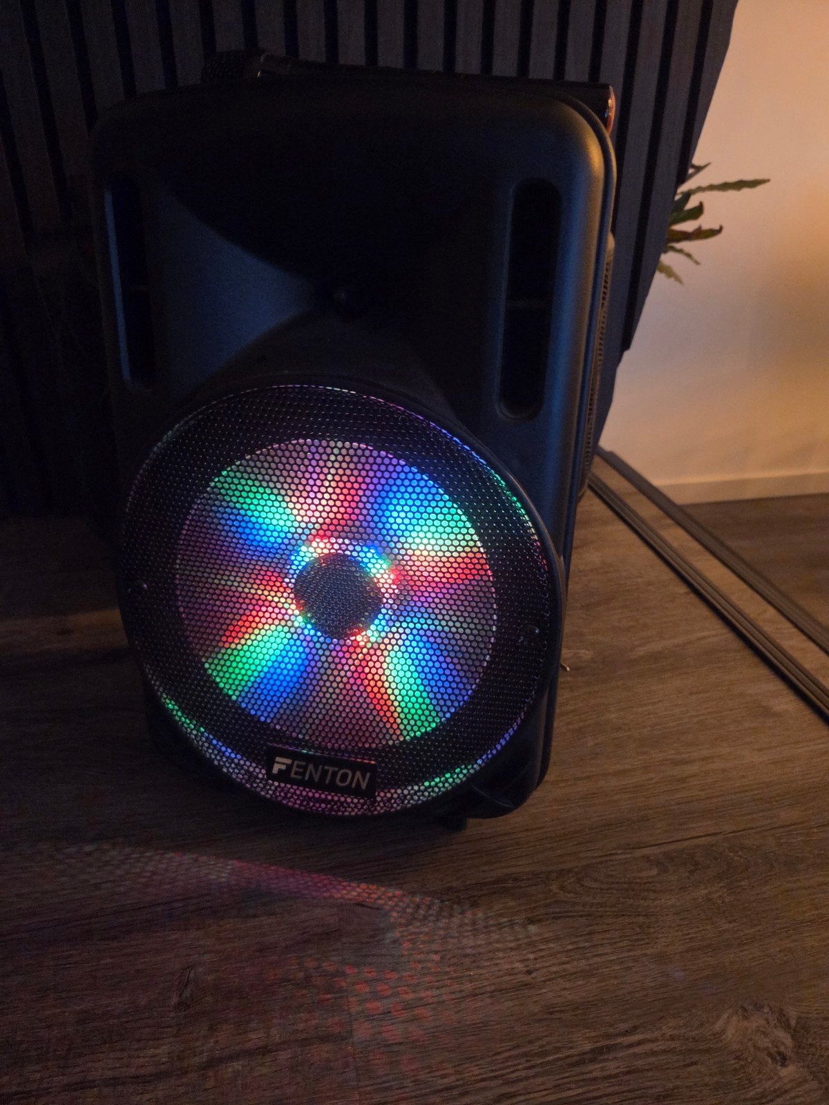 Fenton FT10LED Draagbare Accu Speaker met Microfoon en Licht, Ophalen, Gebruikt, Complete set