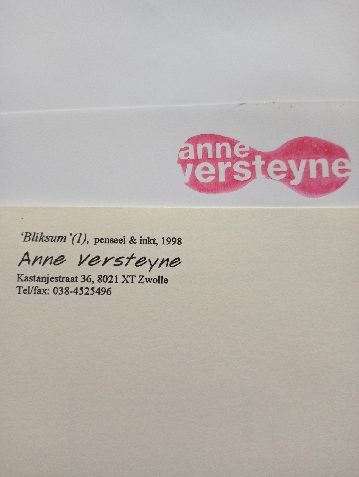 Anne Versteyne litho kat poes 1998, Ophalen of Verzenden